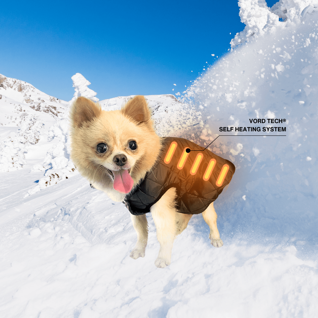 VORD TECH® Self Heating Dog Jacket - VORD LAB